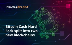 Split btc bch bitcoin versus cash