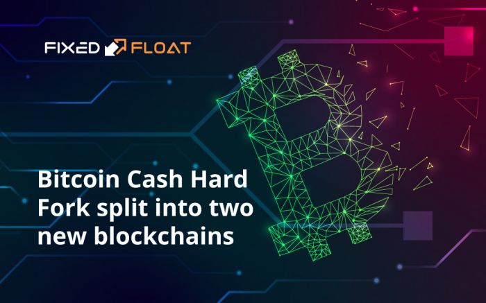 Bitcoin Cash hard fork split into two new blockchains