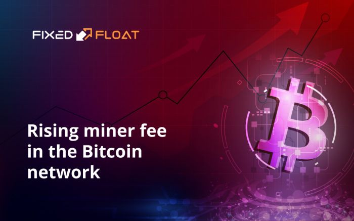 Rising miner fees in the Bitcoin network