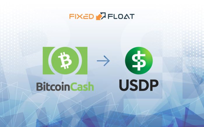 Câmbio Bitcoin Cash por USDP