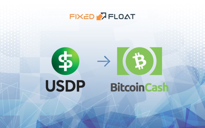 Câmbio USDP para Bitcoin Cash